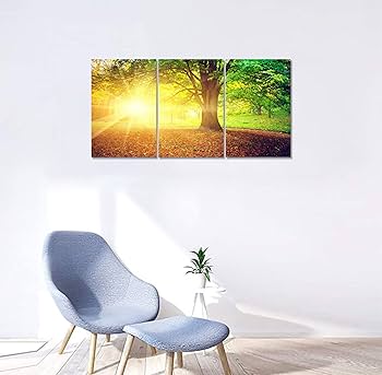 Amazon.co.jp: 太陽の絵 アートパネル 太陽 絵画 3枚 木 絵画